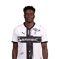 Brice Samba